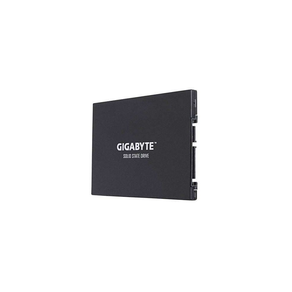 GIGABYTE SSD 256GB UD PRO 2.5 "