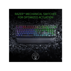 BlackWidow Elite (Green Switch) - French Layout