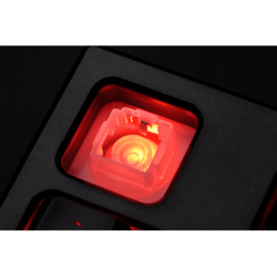 Clavier Gamer RAZER Cynosa Lite